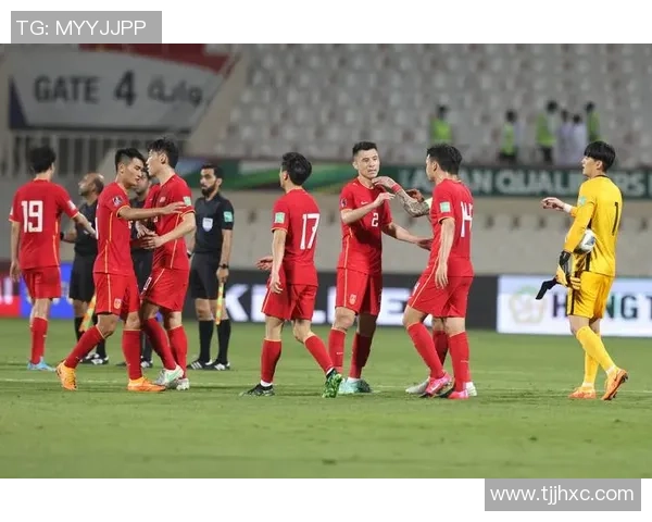 北京排球队在世界杯预选赛中的拼搏历程与荣耀追寻